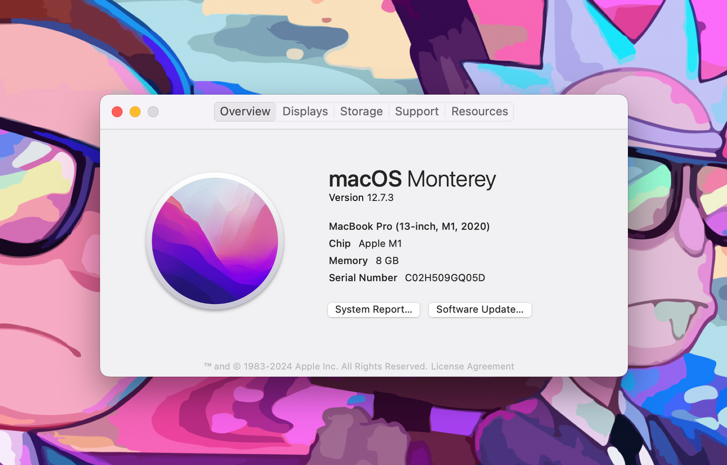 Macbook PRO 13" 2020 / M1 / 8RAM / 250SSD