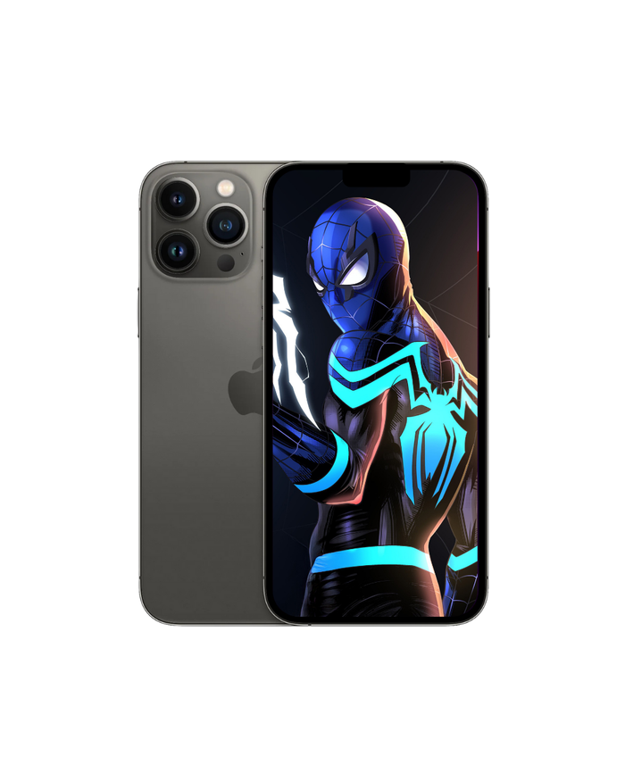 iPhone 13 Pro Max / 256GB