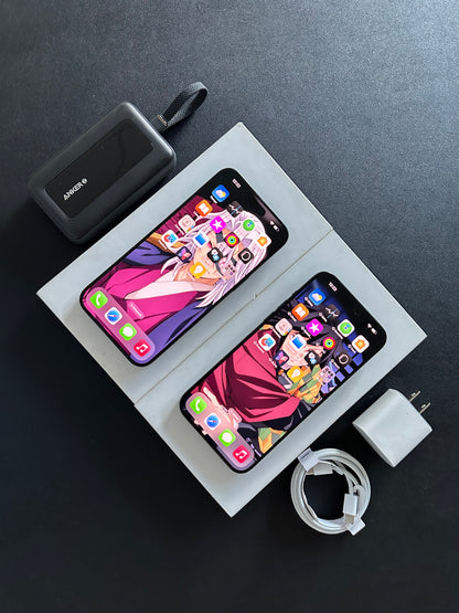 iPhone 15 Pro Max / 512 GB