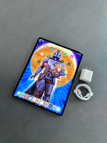 iPad Pro 12.9" 2020 / 4TH GEN / 256GB / WiFi + CELL