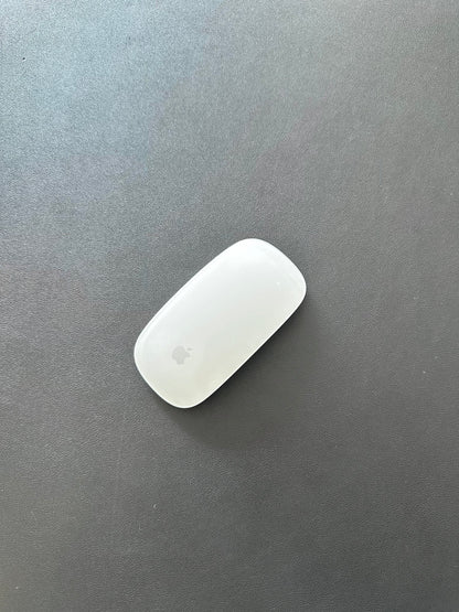 APPLE Magic Mouse 2 / RECARGABLE