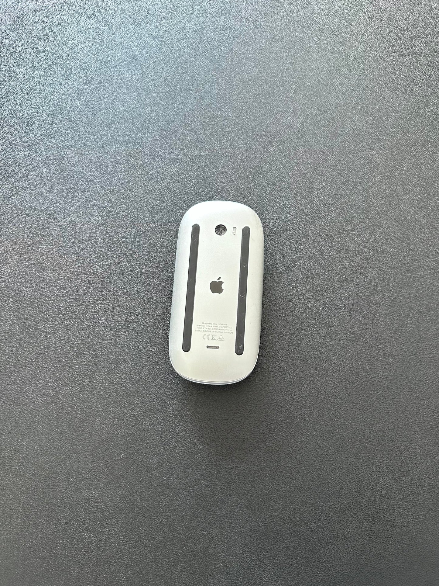 APPLE Magic Mouse 2 / RECARGABLE