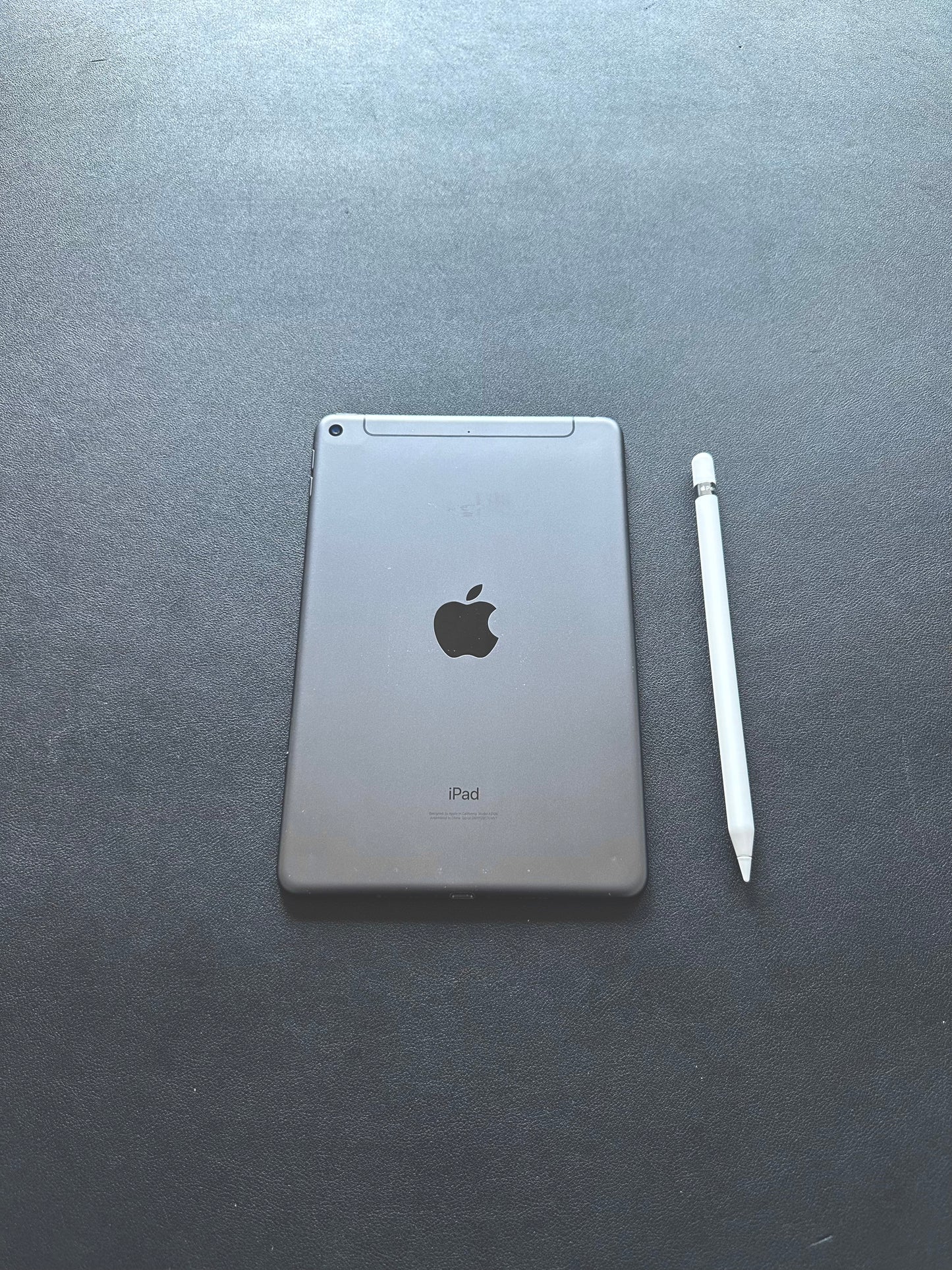 iPad MINI 7.9" 2019 / 5TH GEN / 64GB / WIFI + CELL